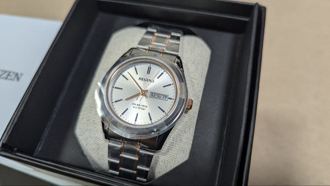 Citizen REGUNO Men's Watch — Japanese