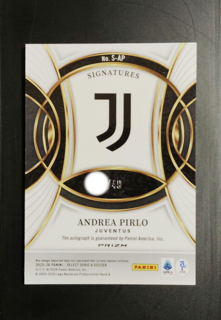 Andrea Pirlo PANINI — Japanese