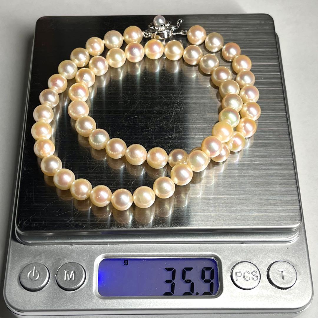Teriyaki Akoya pearl necklace with cream white 7.5-8.0mm pearls and silver clasp on white background