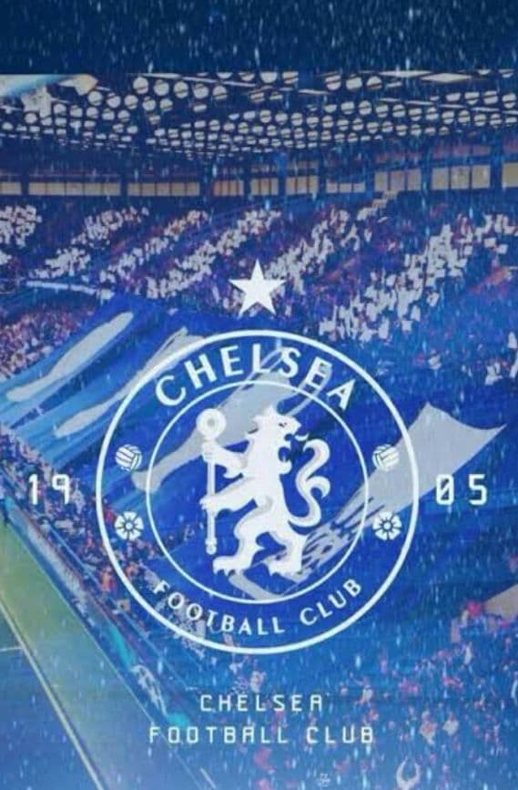 Zora Chelsea Autograph Soccer Sports Auto Italy — Japanese
