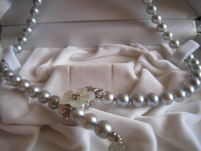 Amber oyster gray Akoya pearls 7.0mm-7.5mm silver necklace 43 cm length
