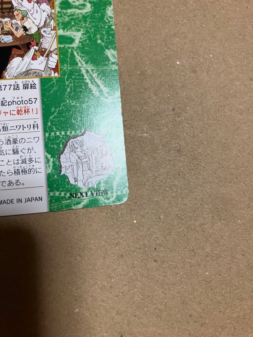 One Piece Zoro — Japanese