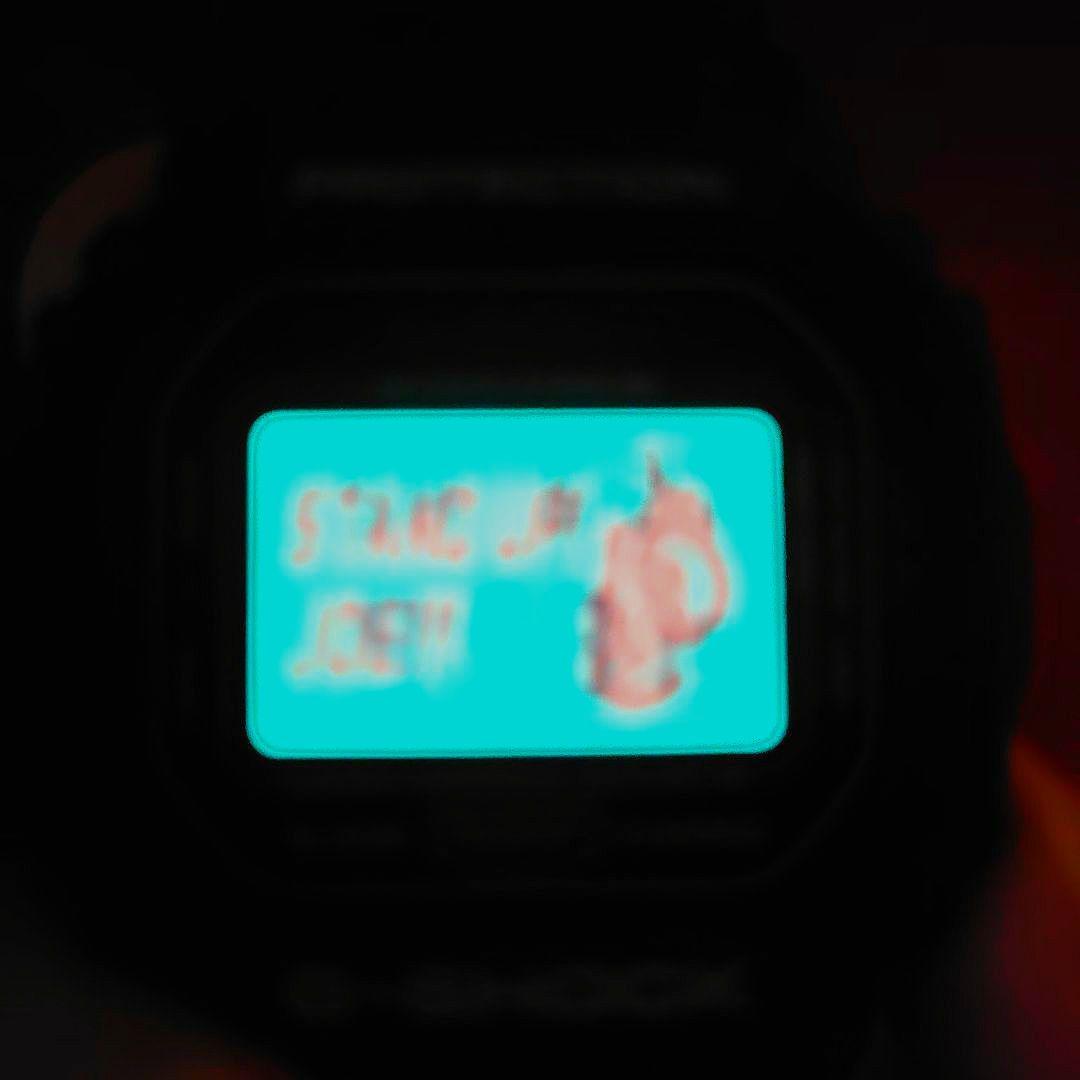 CASIO DW-5600VT Digital Men's Watch — Japanese