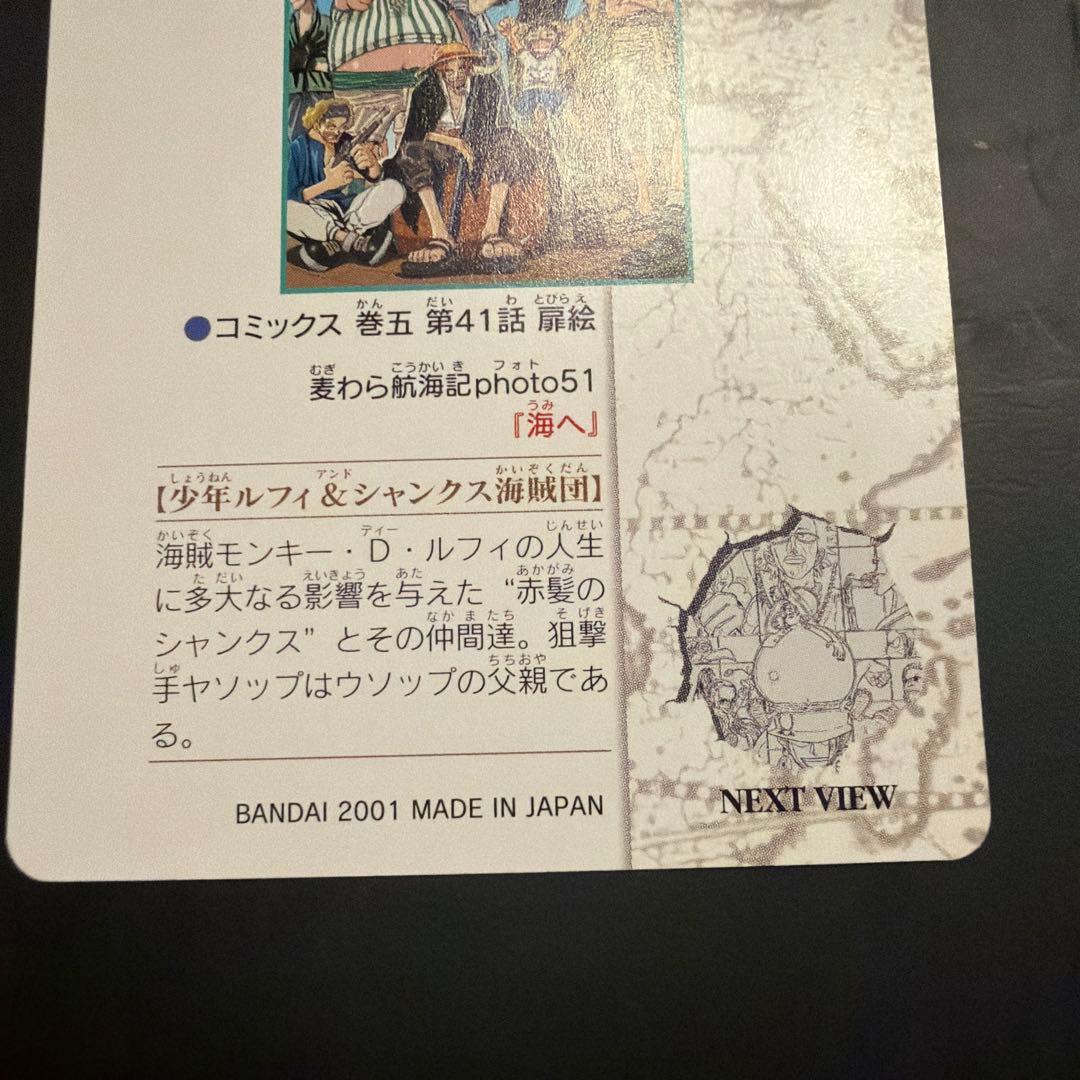 One Piece One Piece Visual Adventure Mugiwara Voyage Photo 51 To the Sea — Japanese