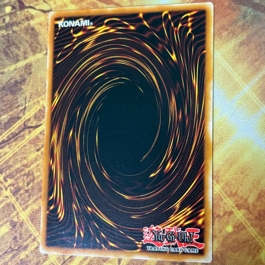 Yu-Gi-Oh Yugioh Spiritologist Druidwood — English