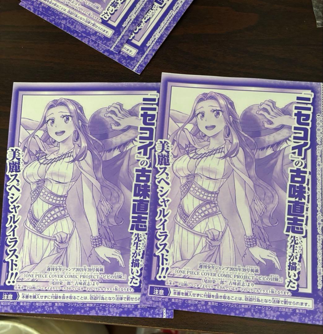 One Piece Nefertari Vivi WINTER — Japanese