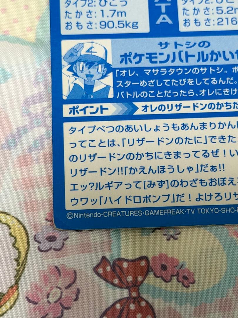 Pokemon Charizard — Japanese