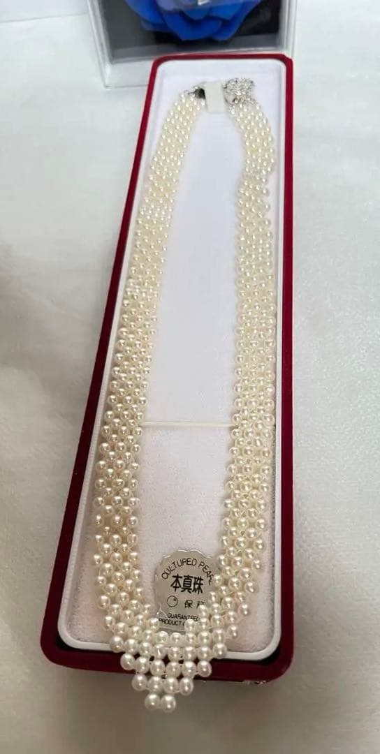 High-quality Aurora colored 5-row V-shaped Akoya pearl necklace with semi-round 3mm pearls and silver floral clasp