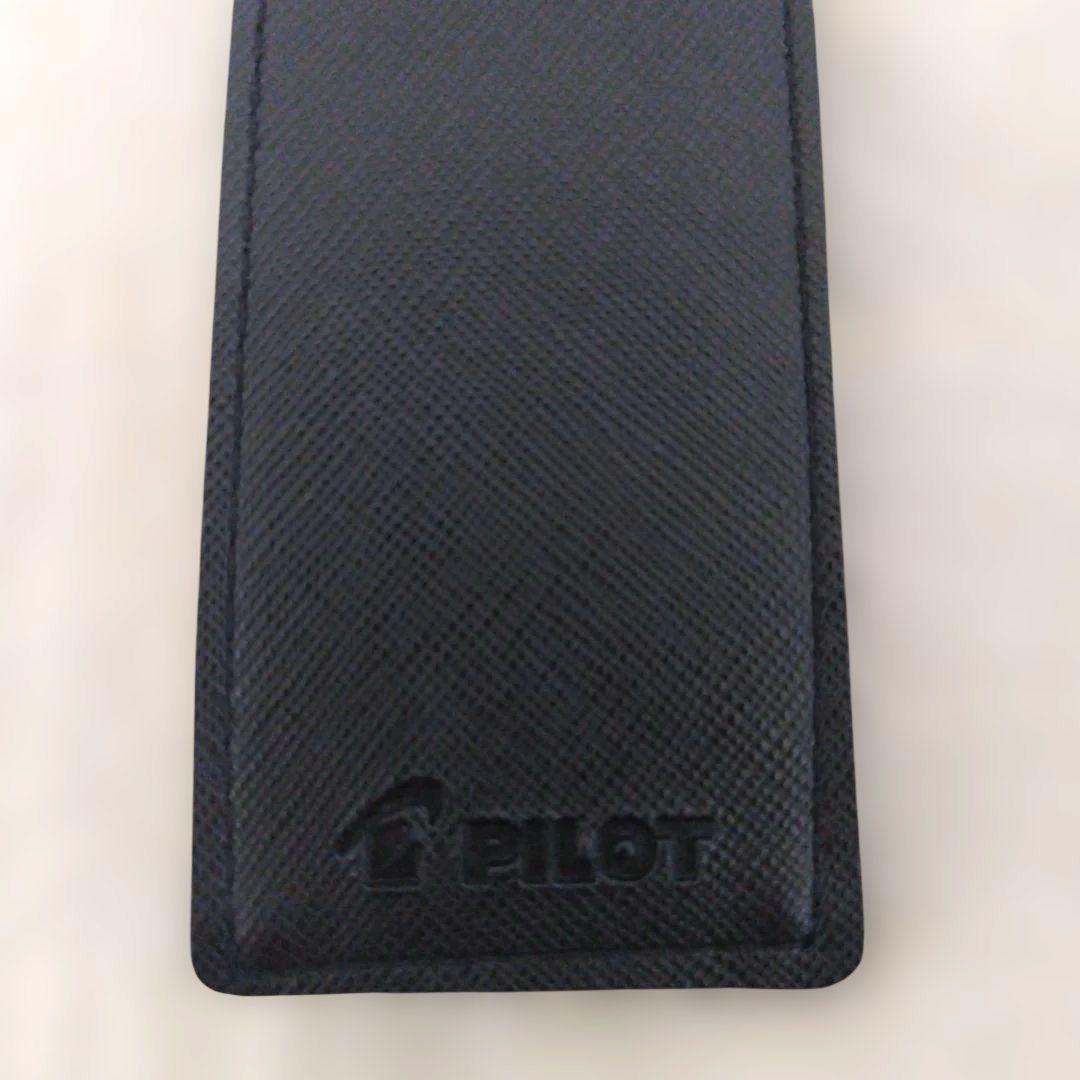 Pilot Kakuna fountain pen with medium tip and black storage case displayed on white background