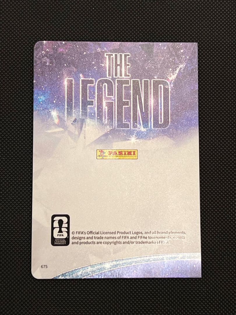 Panini World Cup Maradona Messi Insert — Japanese