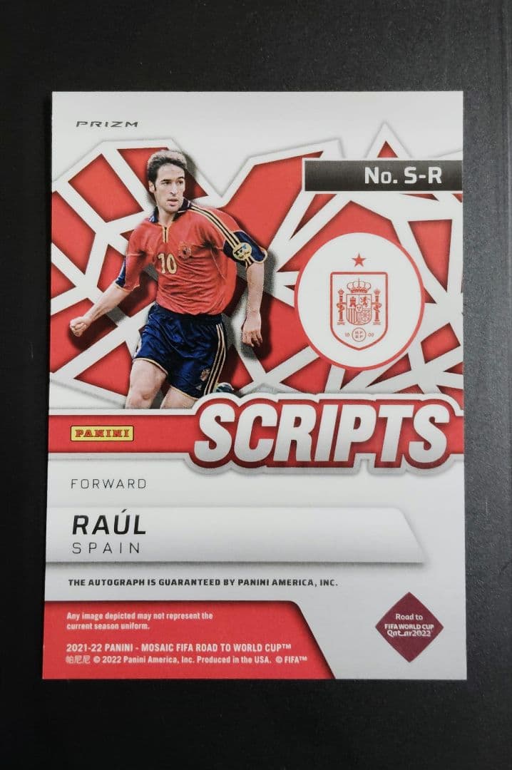 Raúl González Handwritten Signature Auto Parallel PANINI RAUL — Japanese