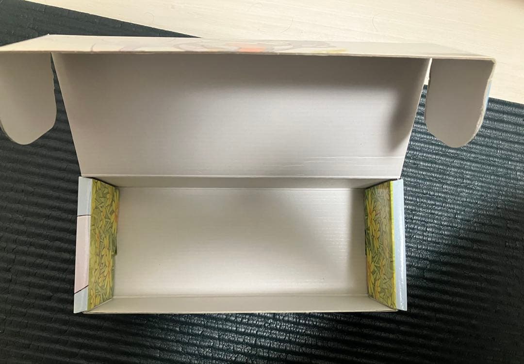 Pokemon Cosmog Box — Japanese