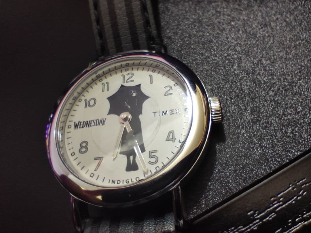 TIMEX Wednesday Quartz Men's Watch — Japanese