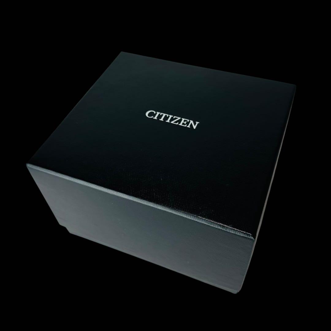 Citizen EXCEED EUROS Solar Men's Watch — Japanese