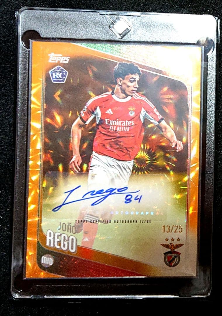 Joao Rego Auto — Japanese