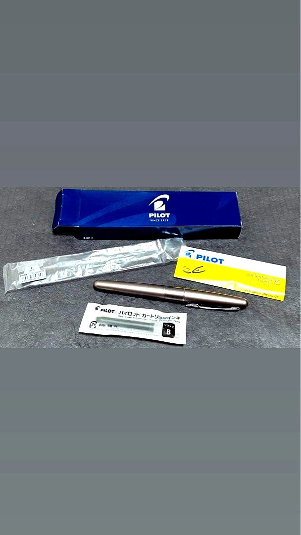 New silver PILOT fountain pen with box and ink cartridge