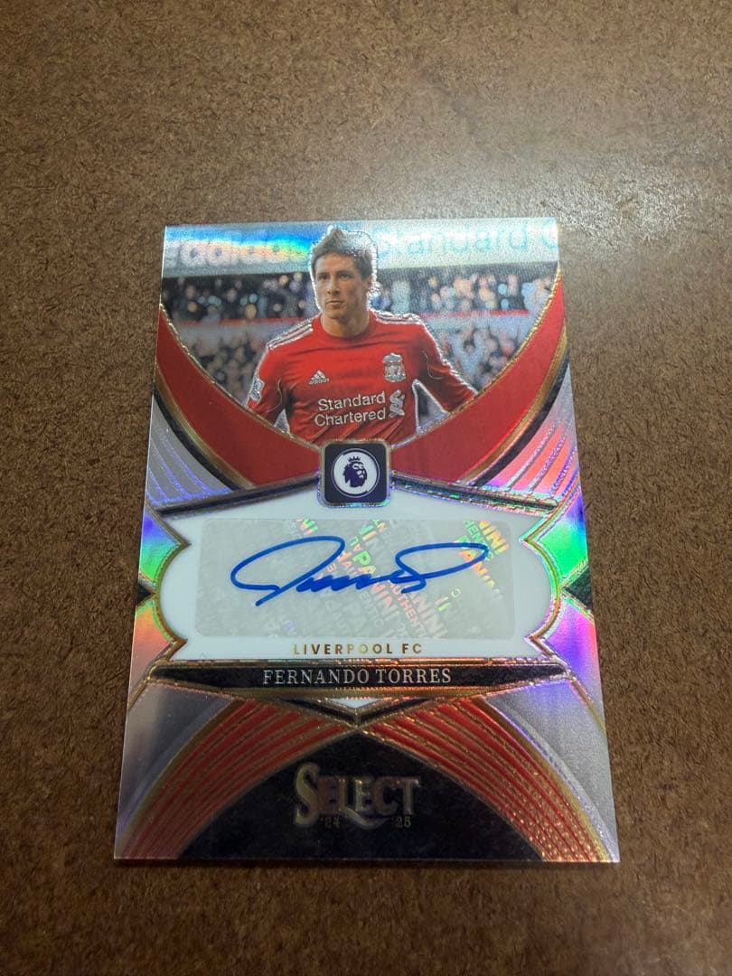 Fernando Torres Auto PANINI SELECT — Japanese