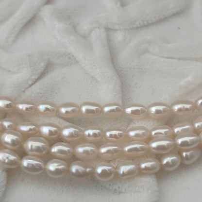 219 Tasaki long necklace made of silver with pearls, approximately 163 cm in length
