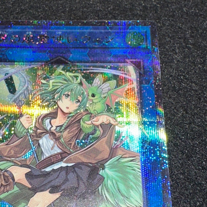 Yu-Gi-Oh Wynn the Wind Charmer QCCU — QCCU-JP188 — Japanese