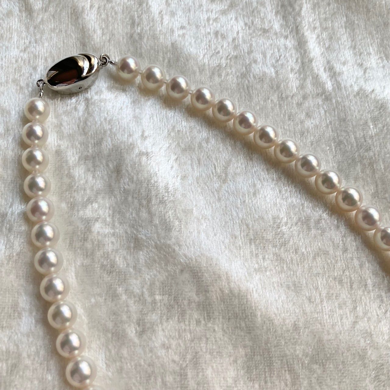 Akoya pearl necklace 40cm length with 6.5-7.0mm pearls and silver clasp displayed with certificate and case