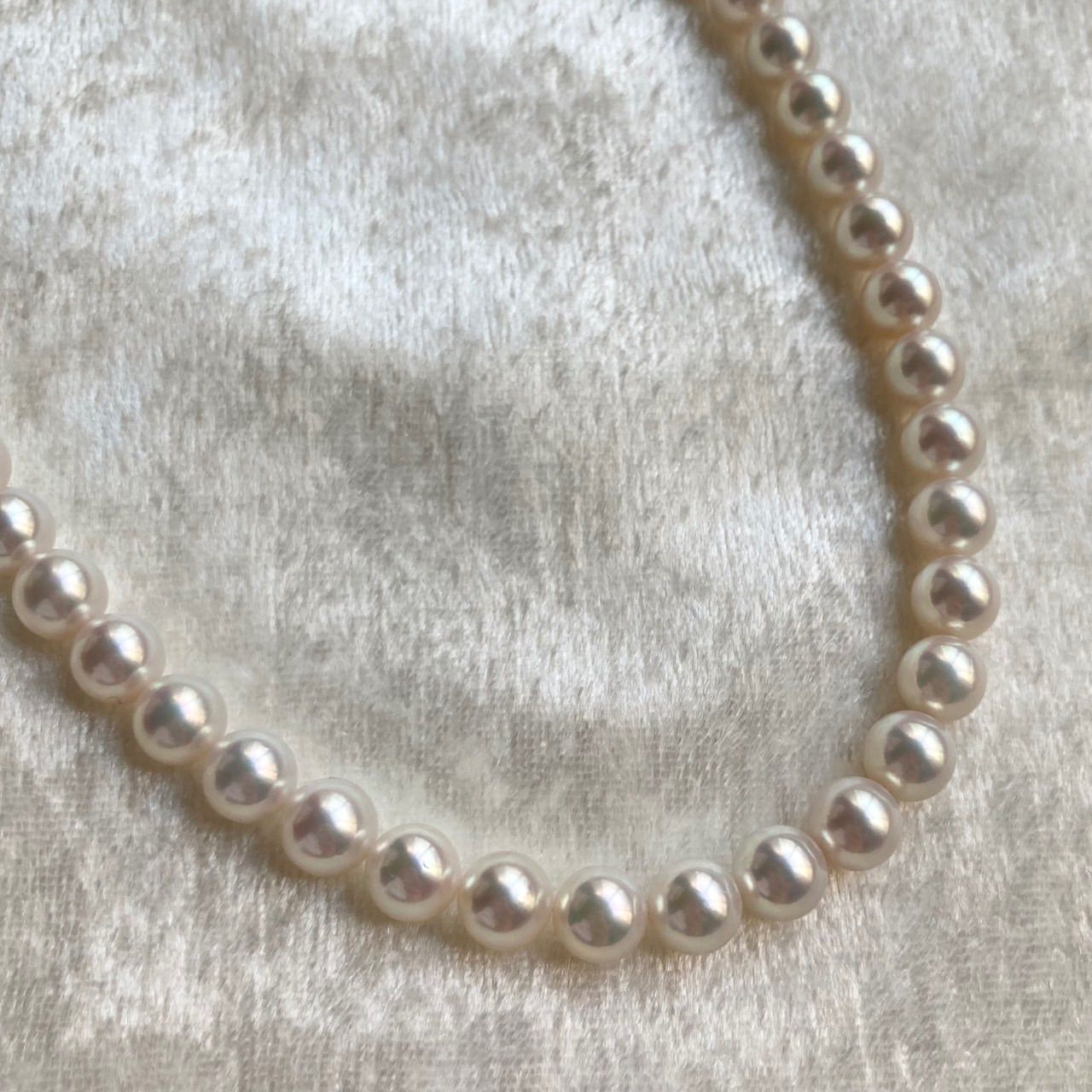 Akoya pearl necklace 40cm length with 6.5-7.0mm pearls and silver clasp displayed with certificate and case