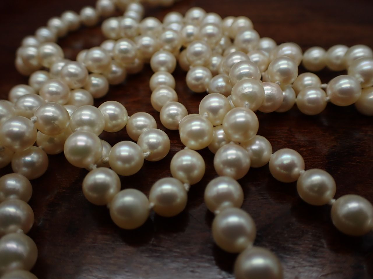 Yamato Akoya pearl necklace 160 cm length with silver clasp displayed on white background