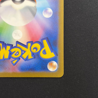 Pokemon Charizard ex — Japanese