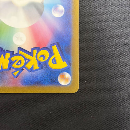 Pokemon Charizard ex — Japanese