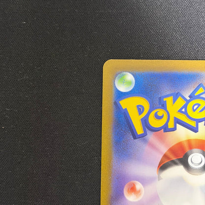 Pokemon Charizard ex — Japanese