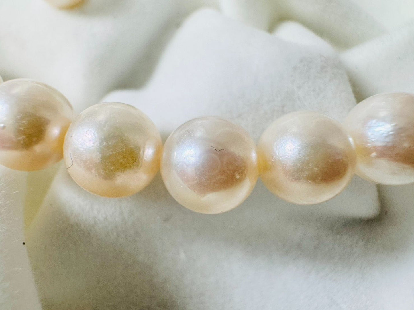 Akoya pearl necklace and earrings set with 7.0-7.32mm pearls on silver 925 and K14WG settings