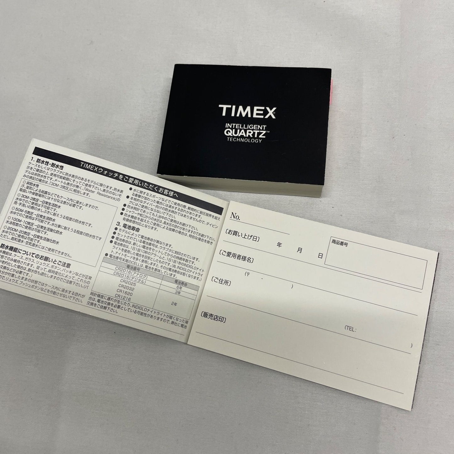 TIMEX T2P276 Quartz Men's Watch — Japanese