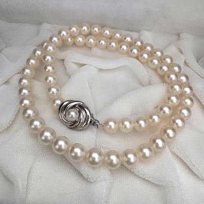 TASAKI Akoya pearl necklace featuring 6.5-7.0mm pearls and silver clasp on a 43cm strand