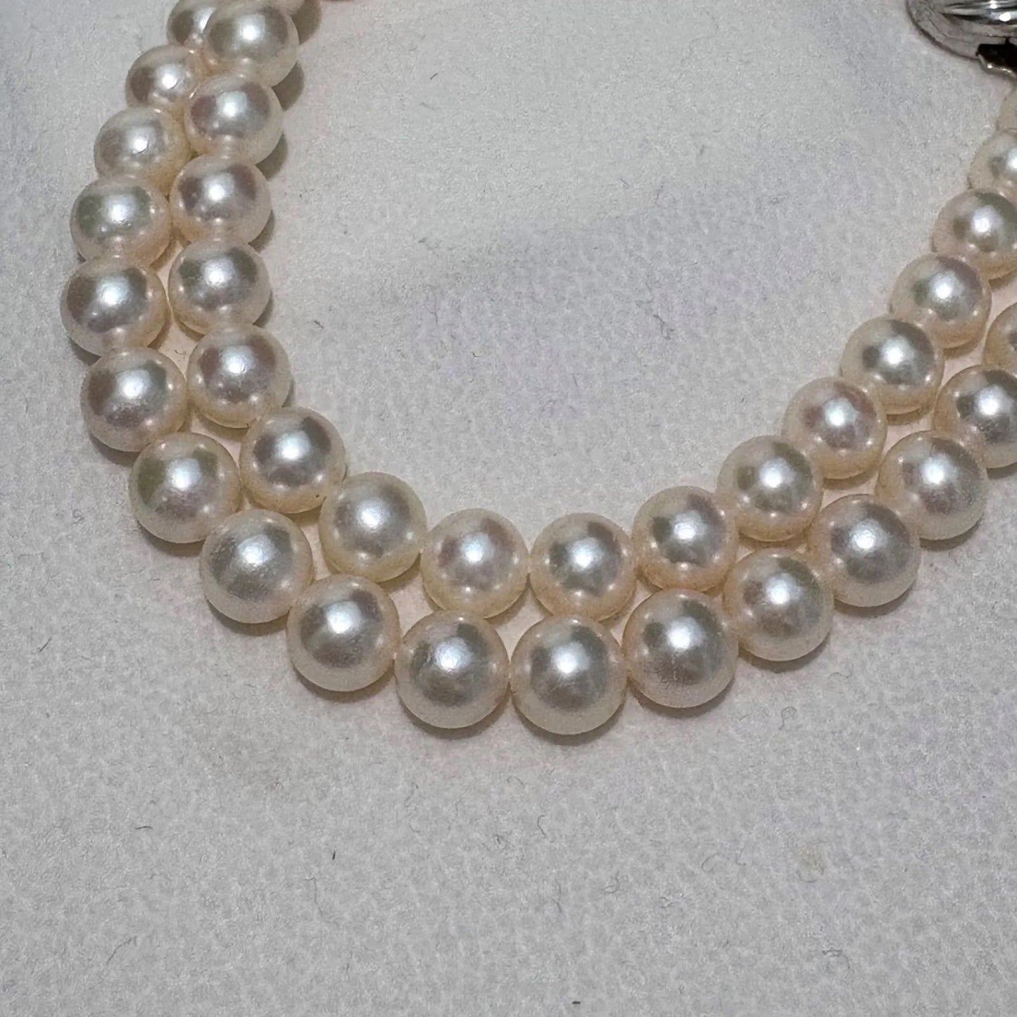 TASAKI Akoya pearl necklace featuring 6.5-7.0mm pearls and silver clasp on a 43cm strand