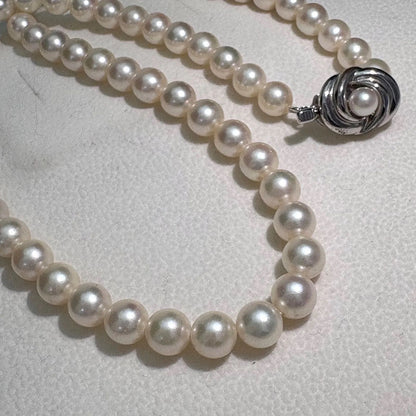 TASAKI Akoya pearl necklace featuring 6.5-7.0mm pearls and silver clasp on a 43cm strand