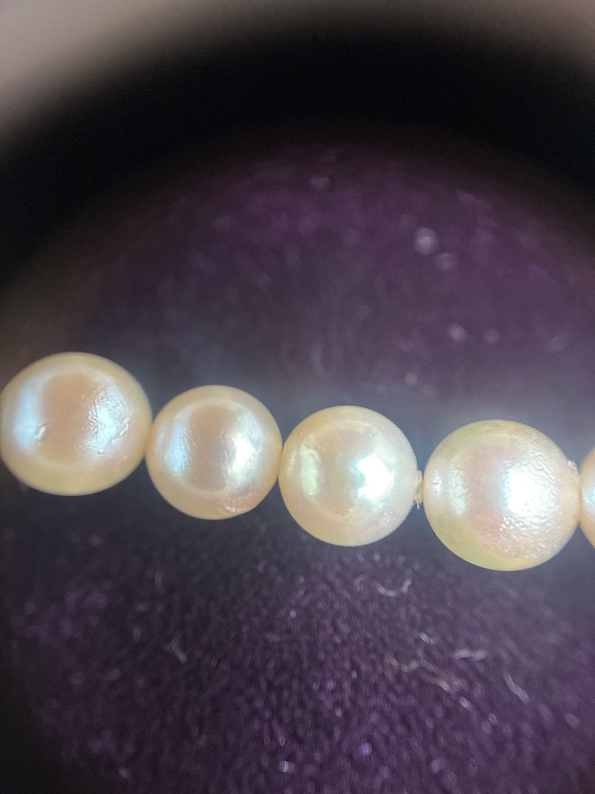 Used TASAKI pearl necklace with imprint displayed alongside its case
