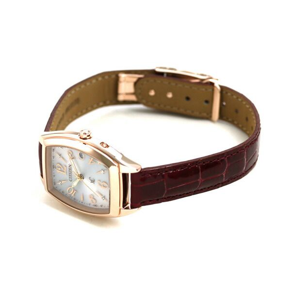 Citizen Cross Sea Eco-Drive Radio-controlled watch with silver dial, spicy red crocodile band, and stainless steel case