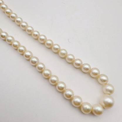 Mikimoto Necklace with 3.7-7 mm pearls and 45 cm chain displayed on a white background