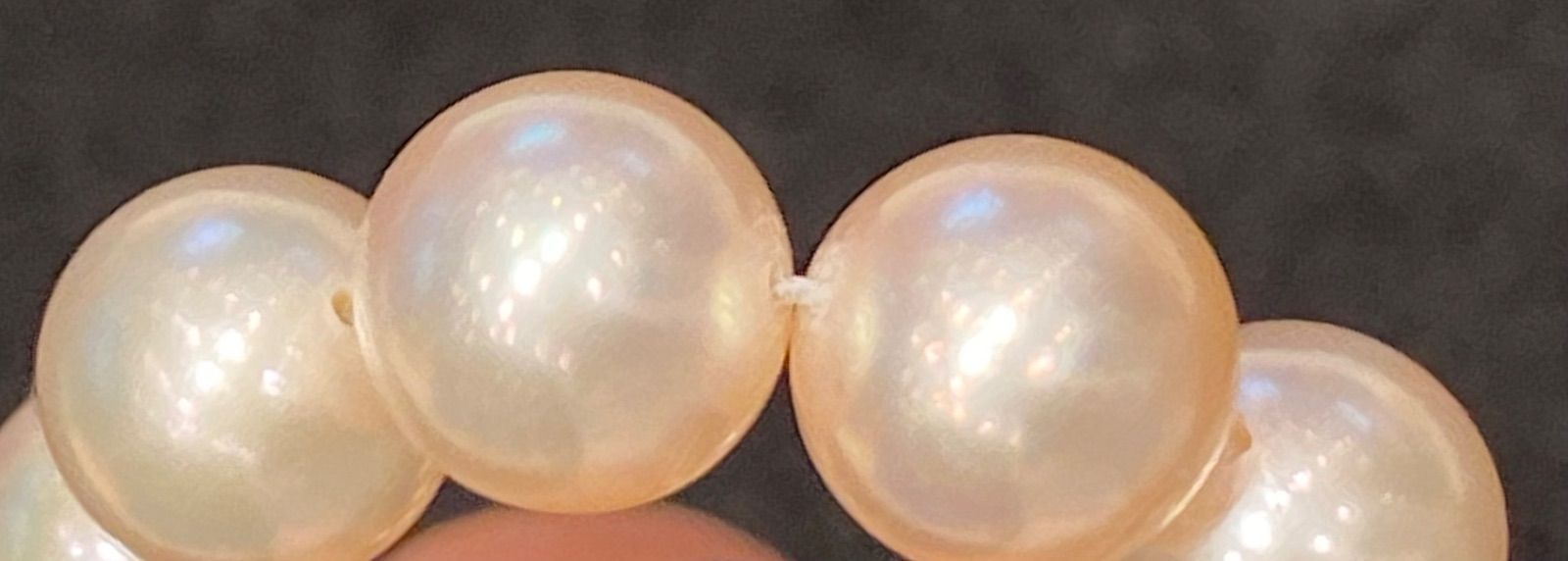 Honma Akoya Pearl Necklace with 7.9mm bright glossy pearls set in K14 white gold with engraved design
