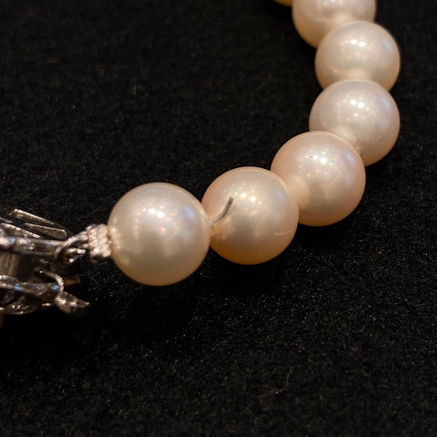 Honma Akoya Pearl Necklace with 7.9mm bright glossy pearls set in K14 white gold with engraved design