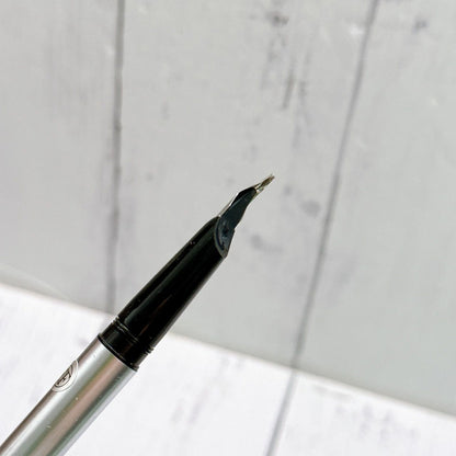 Waterman EF fountain pen with sleek black body and silver trim shown on white background