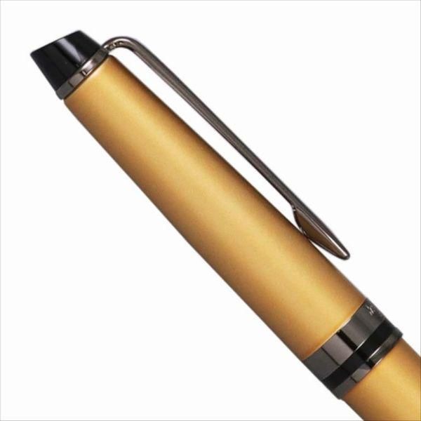 Waterman Expert Gold RT 2119291 fountain pen shown with gold accents and black body