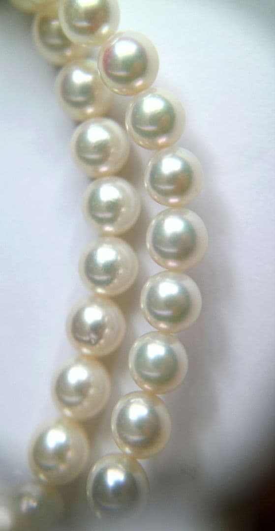 Tasaki long necklace featuring 6-6.5mm Akoya pearls on an 82.5cm silver chain with 925 clasp