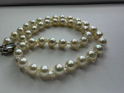Akoya pearl necklace with 7.5mm white pearls and silver clasp laid flat on white background