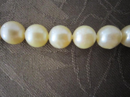 Aqua Pearl genuine light gold pearl necklace 44.5 cm with silver clasp and 7.9-8.5 mm pearls