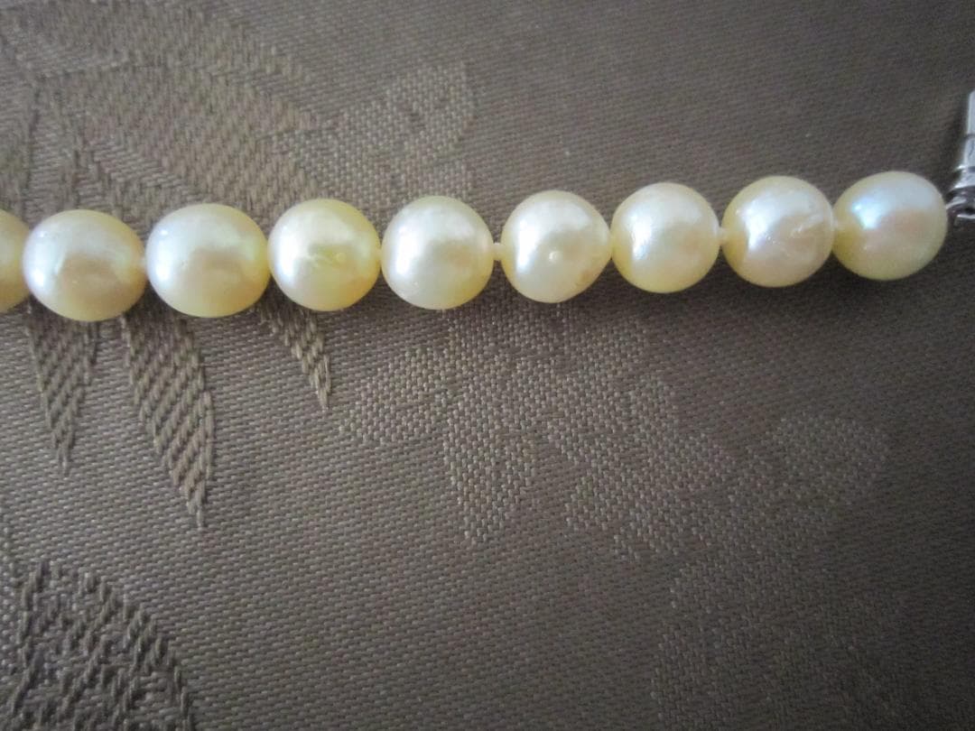 Aqua Pearl genuine light gold pearl necklace 44.5 cm with silver clasp and 7.9-8.5 mm pearls