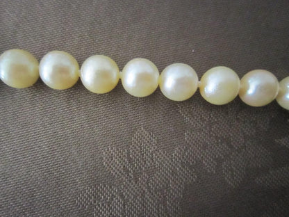Aqua Pearl genuine light gold pearl necklace 44.5 cm with silver clasp and 7.9-8.5 mm pearls