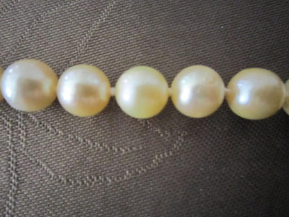 Aqua Pearl genuine light gold pearl necklace 44.5 cm with silver clasp and 7.9-8.5 mm pearls