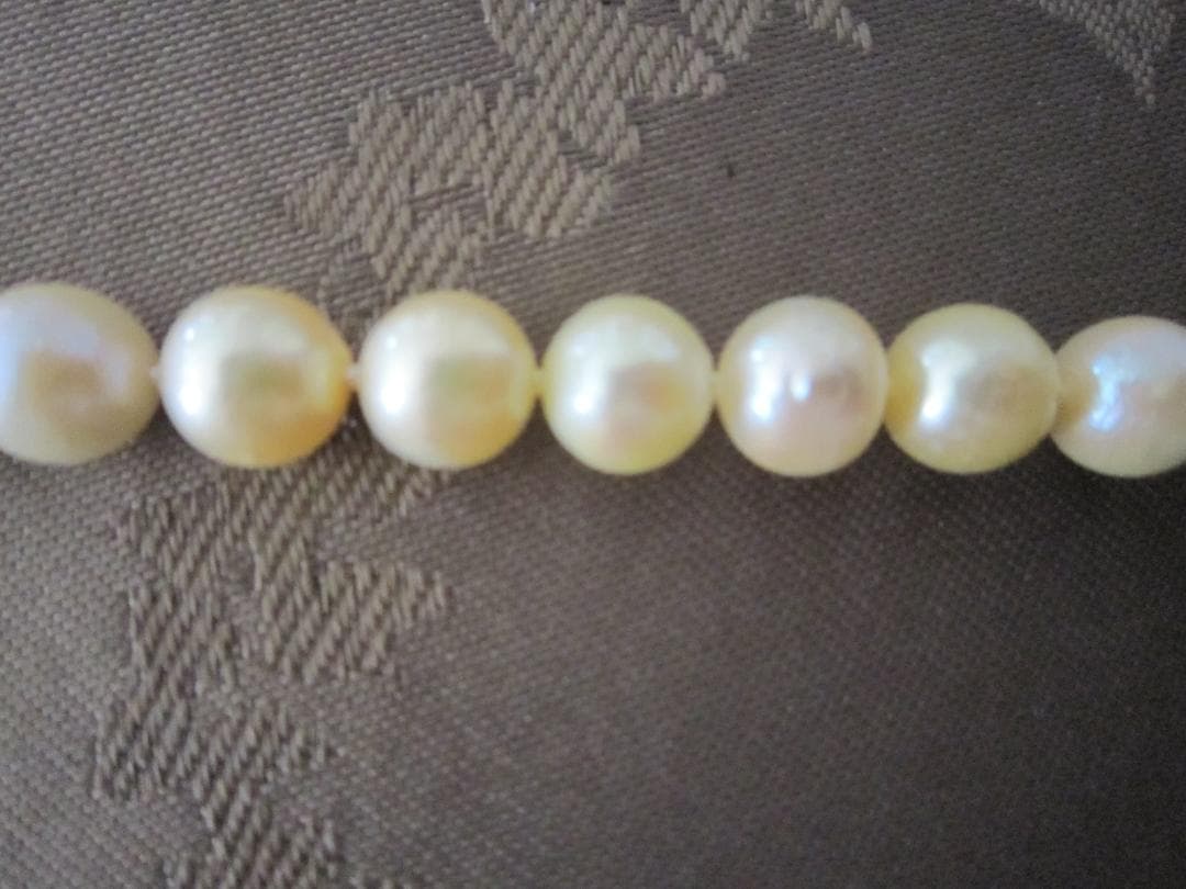 Aqua Pearl genuine light gold pearl necklace 44.5 cm with silver clasp and 7.9-8.5 mm pearls