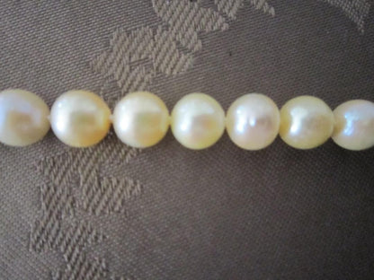 Aqua Pearl genuine light gold pearl necklace 44.5 cm with silver clasp and 7.9-8.5 mm pearls