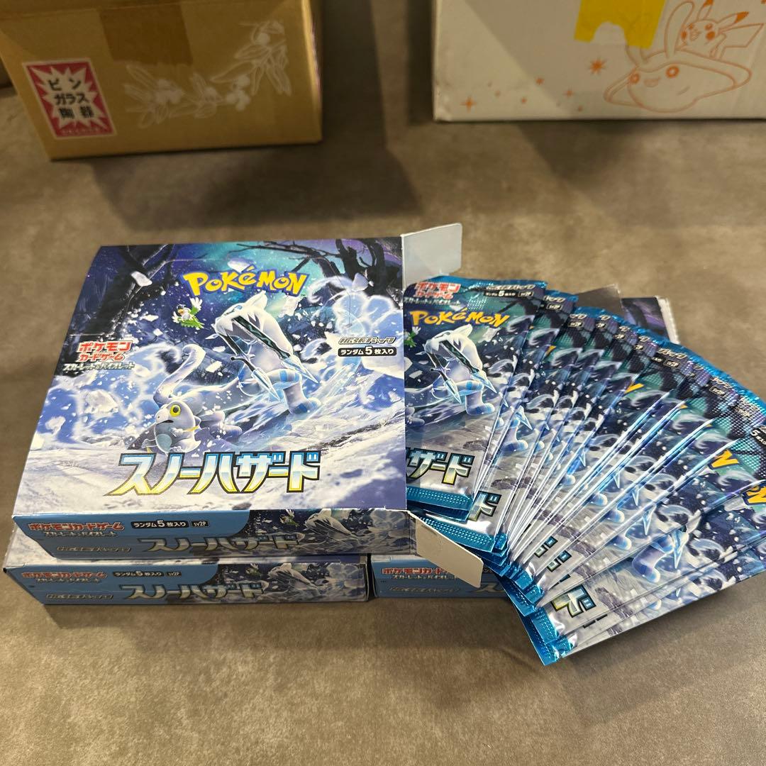 Pokemon Pokémon Card Snow Hazard Box — Japanese
